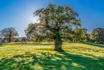 Nos actions en faveur de l’environnement